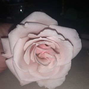 Meet your Posher, Jesslyn